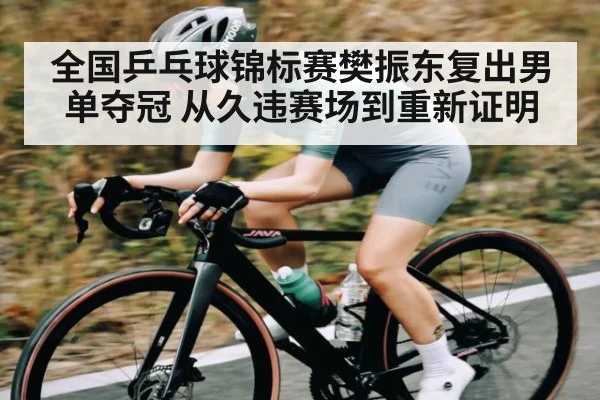 全国乒乓球锦标赛樊振东复出男单夺冠 从久违赛场到重新证明